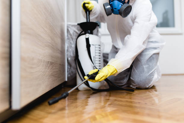 Best Pest Control Near Me in Rockcreek, OR