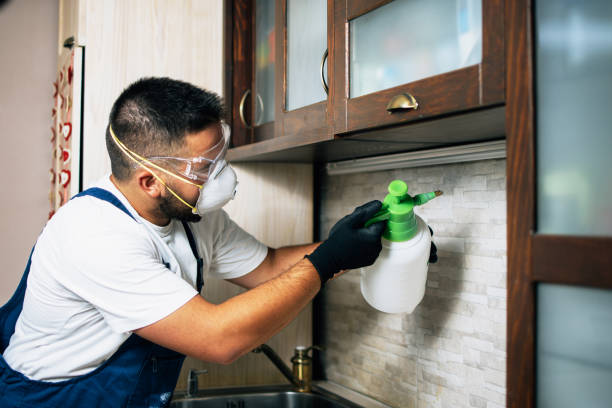 Best Mosquito Control Services  in Rockcreek, OR
