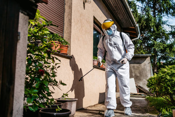 Professional Pest Control in Rockcreek, OR