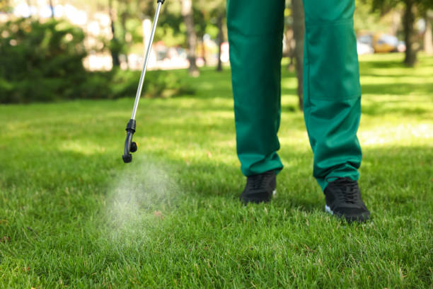 Best Best Pest Control Companies  in Rockcreek, OR