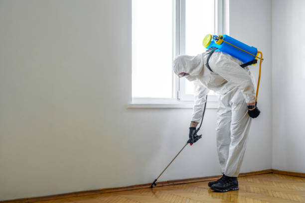 Best Commercial Pest Control Services  in Rockcreek, OR