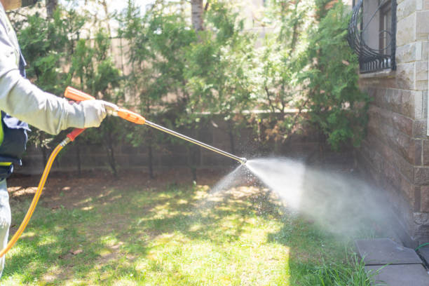 Bird Control in Rockcreek, OR
