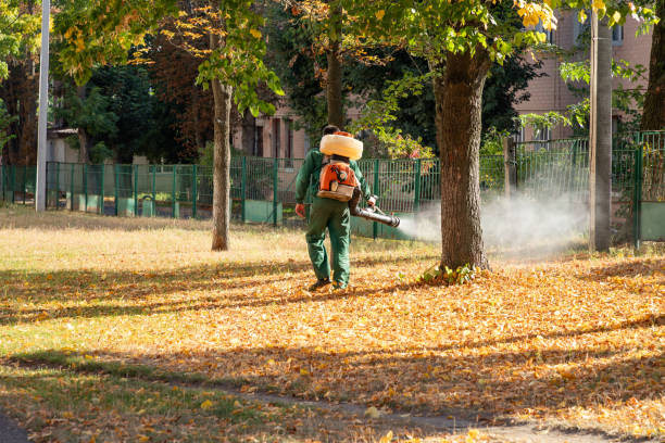 Best Termite Control Services  in Rockcreek, OR