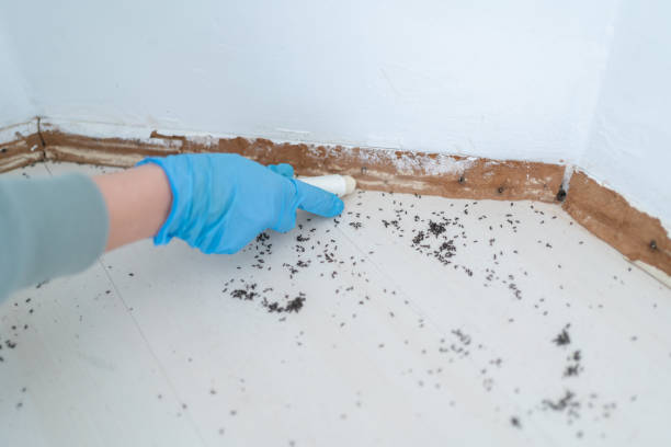 Pest Prevention Services in Rockcreek, OR
